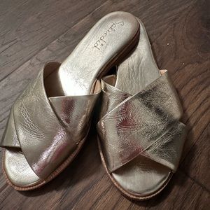 Splendid Gold Slides